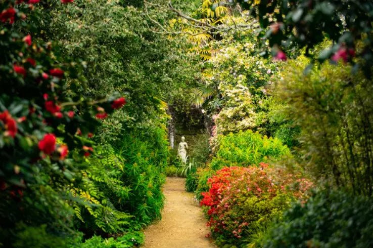 Abbotsbury Subtropical Gardens, United Kingdom